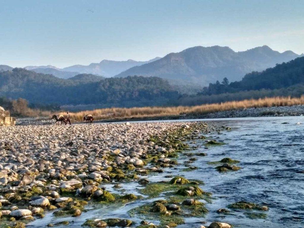 Durga Devi safari zone, Jim Corbett National Park